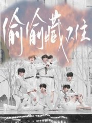 九一天美麻花果冻的详细介绍